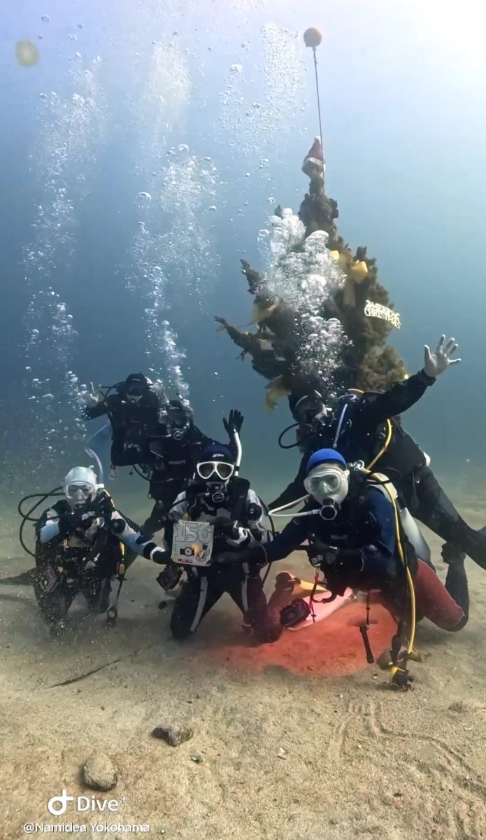 Namidea 今日はクリスマスツアーin初島🎄