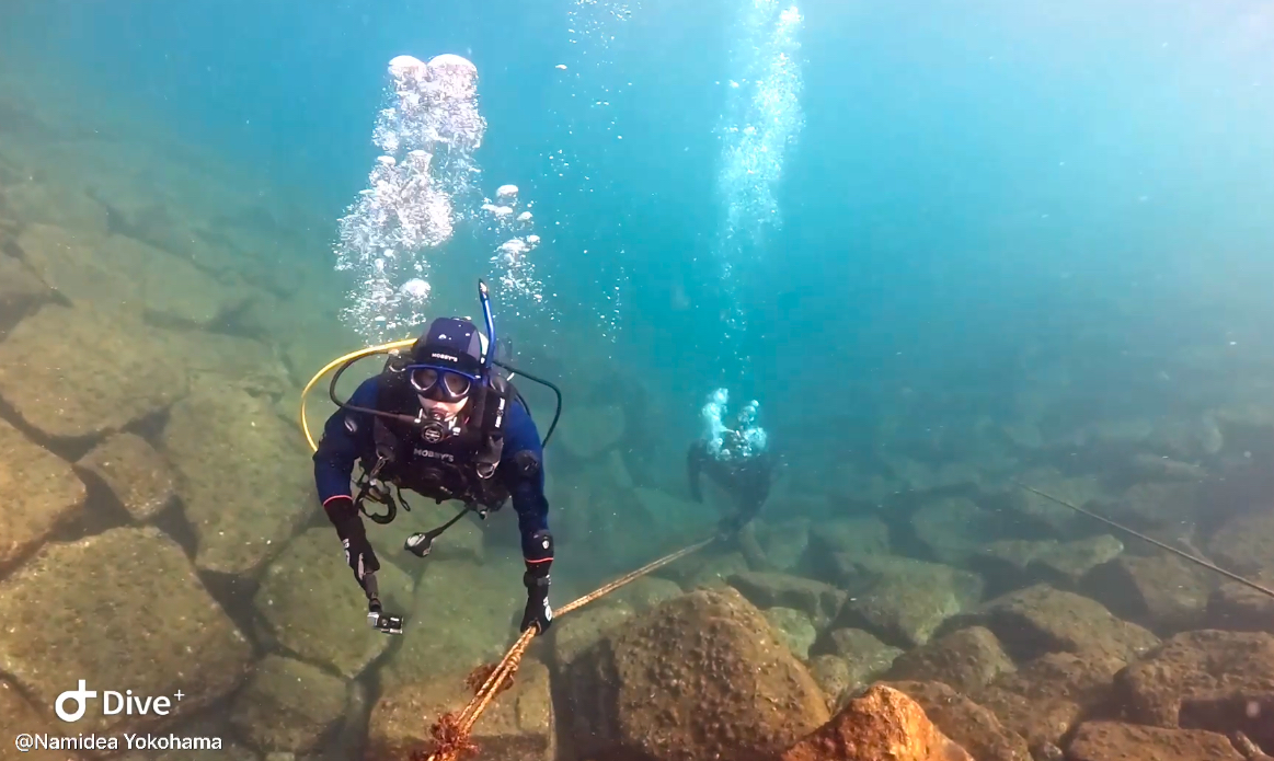 Namidea 今日は海洋公園のクリスマスツリーへ！