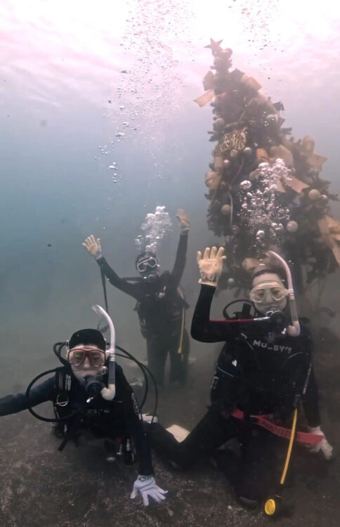 Namidea 2024クリスマスツアー!