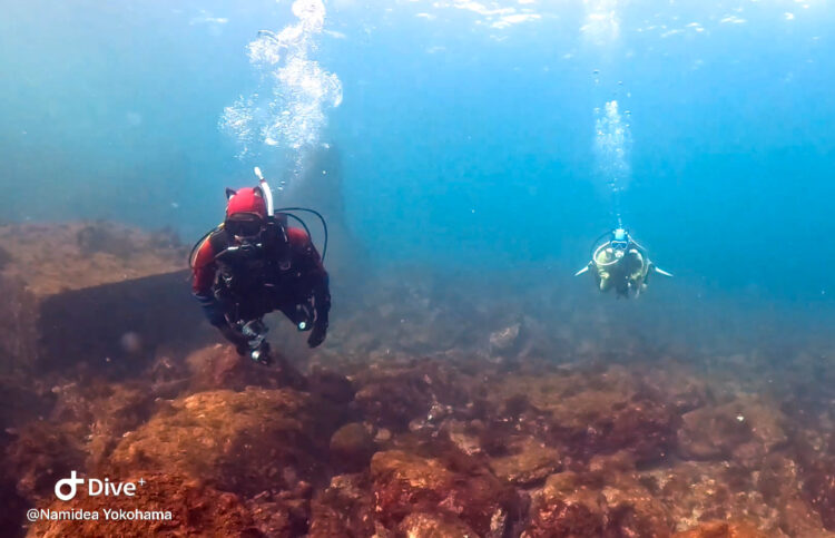 Namidea 2024年も有難うございましたー!