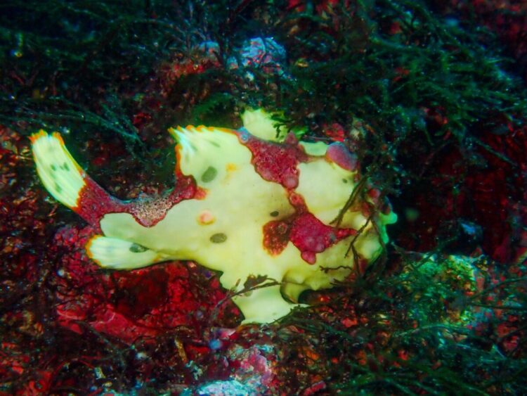 Namidea 2024年忘れツアー!