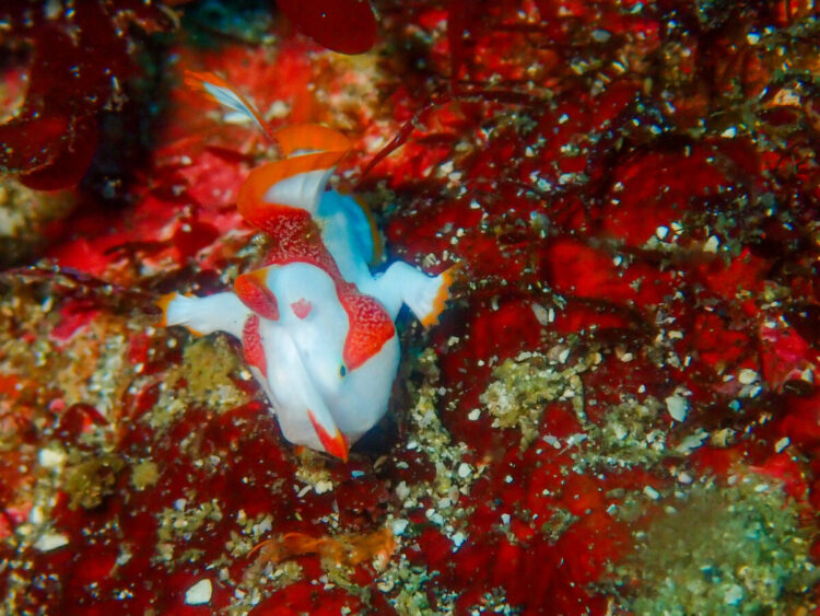 Namidea 2024年忘れツアー!