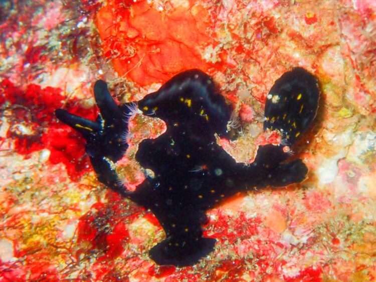 Namidea 2024年忘れツアー!