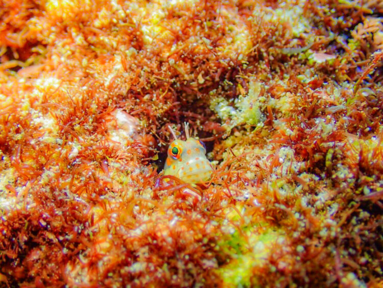 Namidea 2024年忘れツアー!