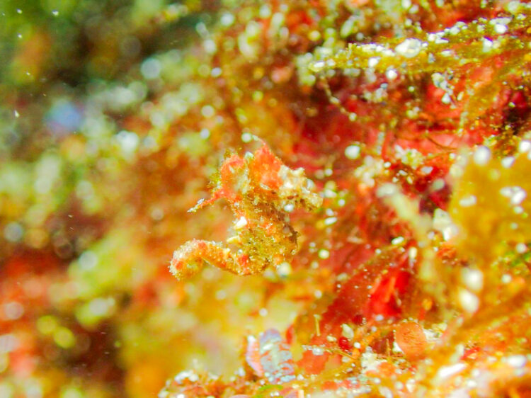 Namidea 2024年忘れツアー!