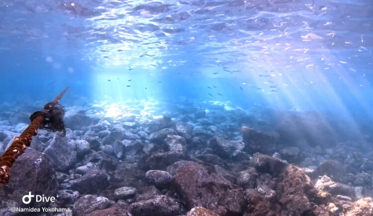 Namidea 2024年忘れツアー!