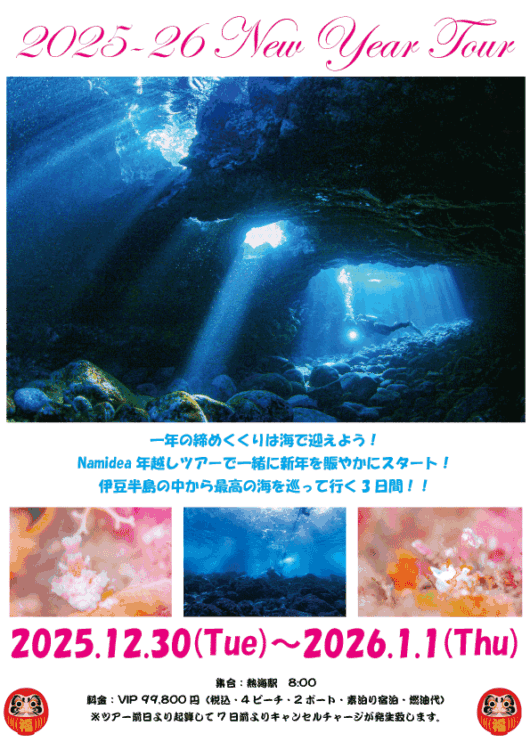Namidea 2025-26 年越しダイブツアー!