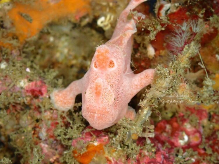 Namidea クリスマスイブは北川へ🎄