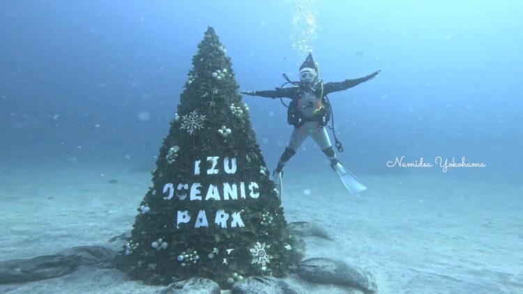 伊豆海洋公園
クリスマスツリー