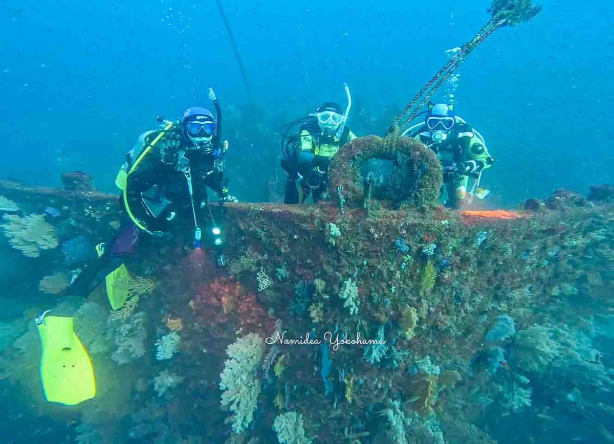 Namidea 3連休スタート❗️