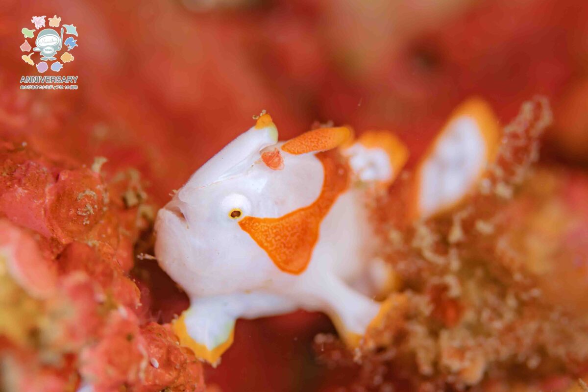 Namidea 正月休み最終日💤