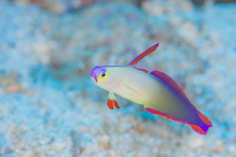 Namidea初！屋久島ツアー開催！