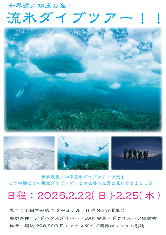Namidea 2026流氷ダイビング