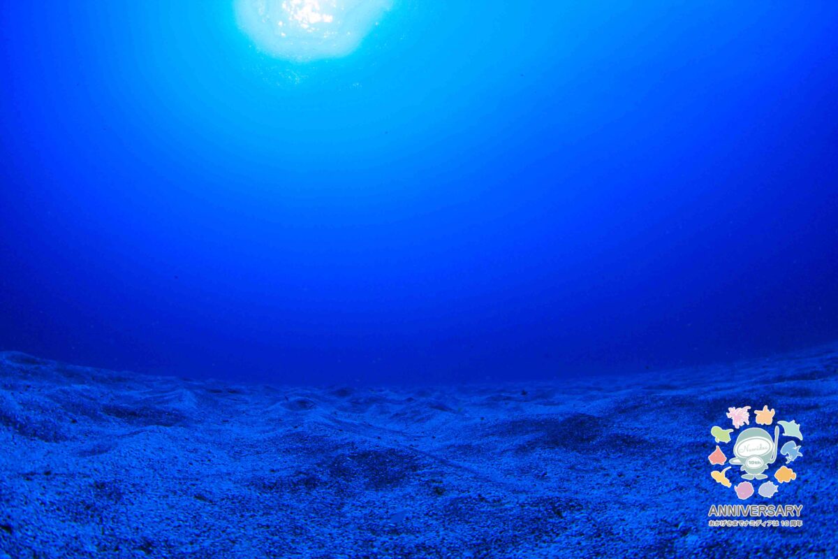 Namidea 今週は館山Week！