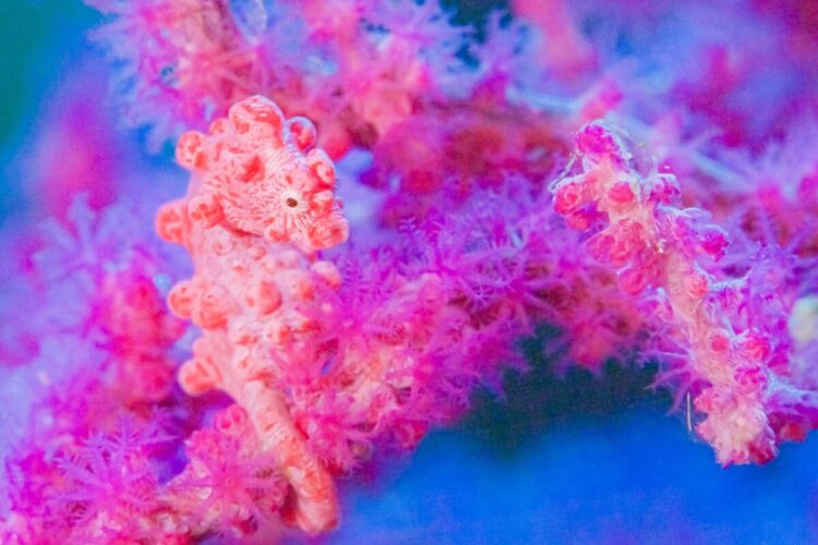 Namidea初！屋久島ツアー開催！