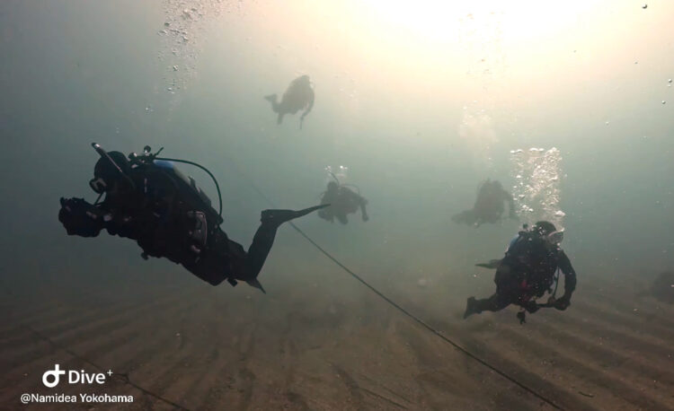 Namidea 2025年成人の日はみんなで葉山ボートへ!