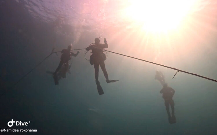 Namidea 2025年成人の日はみんなで葉山ボートへ!