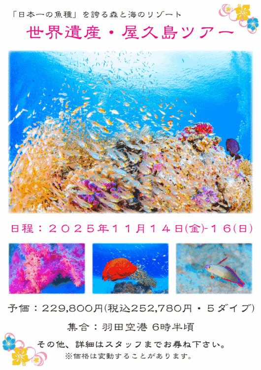 Namidea初!屋久島ツアー開催!