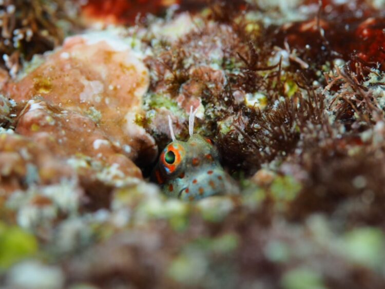 Namidea 2024-25 年末年始ツアー!