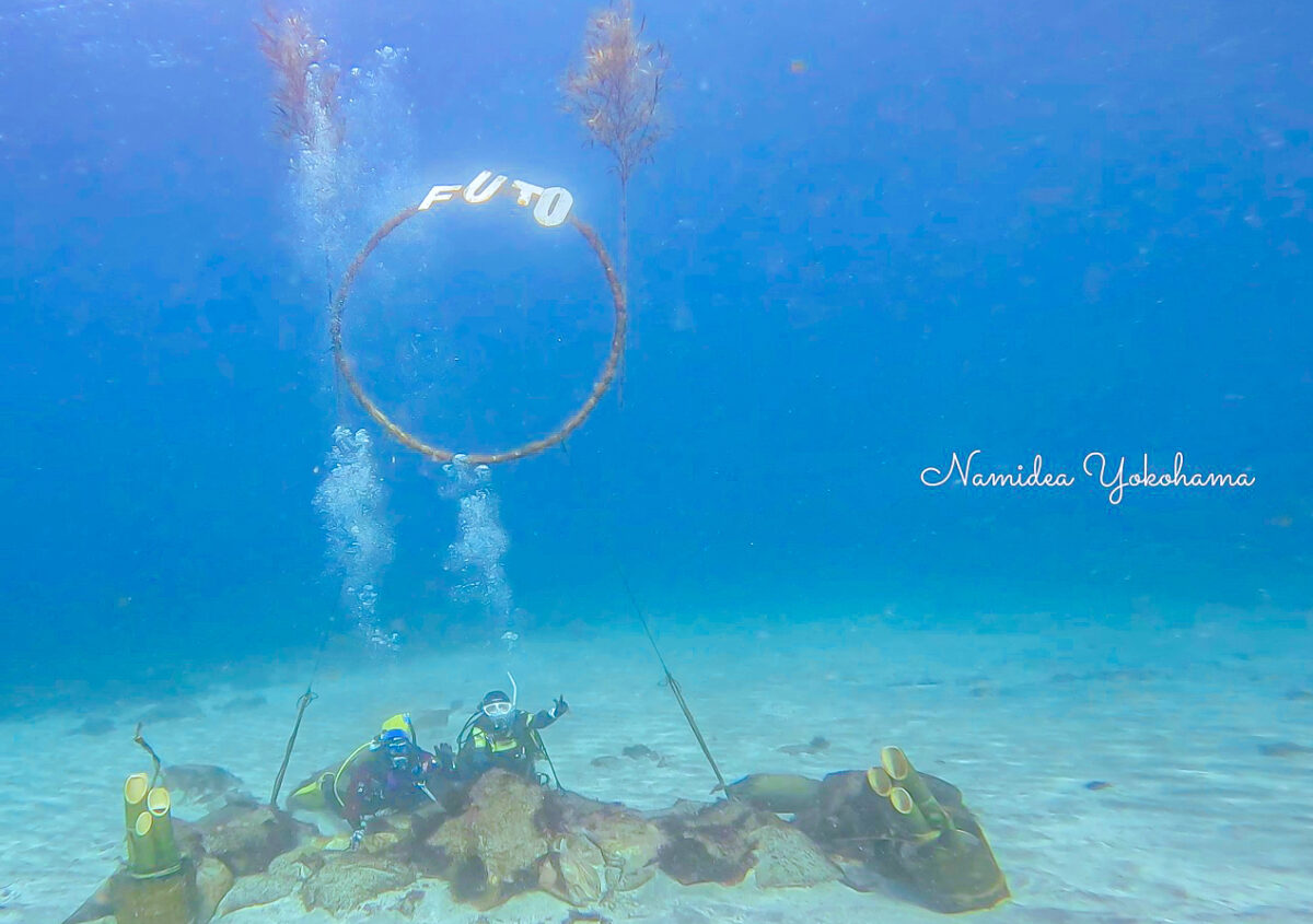 Namidea 初潜りツア ー開催中！