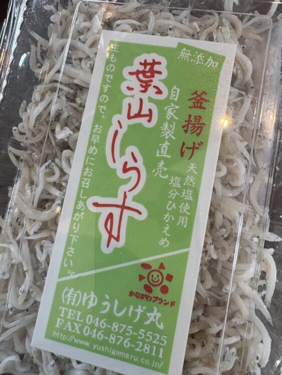 Namidea 2025年成人の日はみんなで葉山ボートへ!