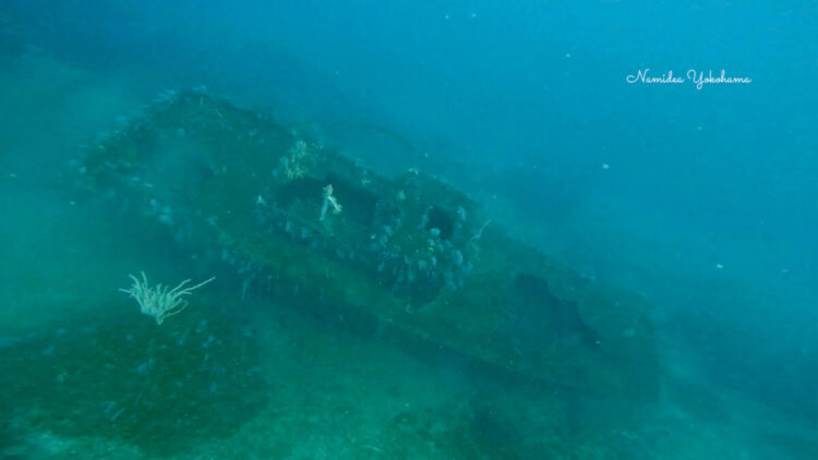 熱海 タグボート