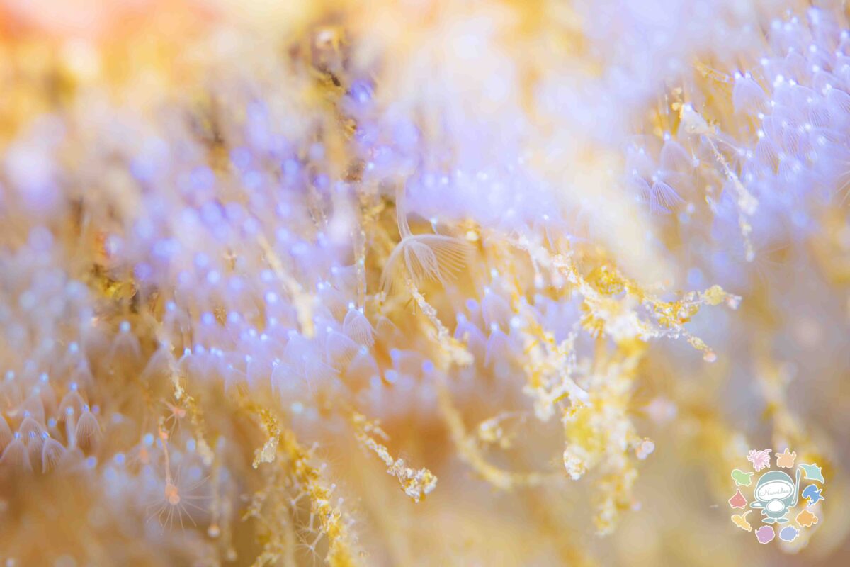 Namidea 春を感じる木曜日！