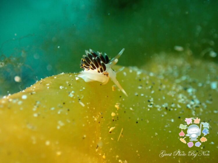 Namidea 3連休有難うございましたー!