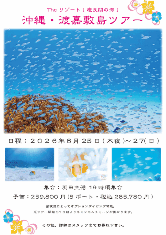Namidea 2026年初夏の渡嘉敷島ツアー!