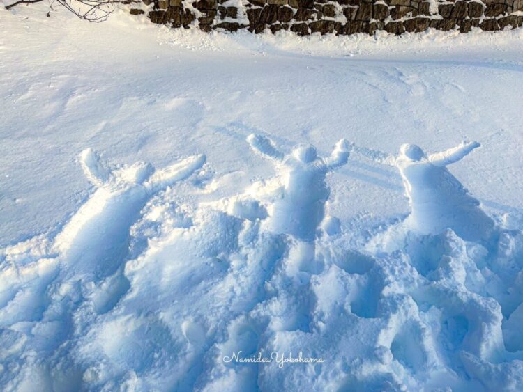 オシンコシンの滝