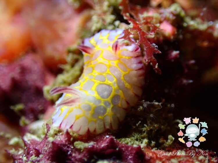 Namidea 3連休有難うございましたー!