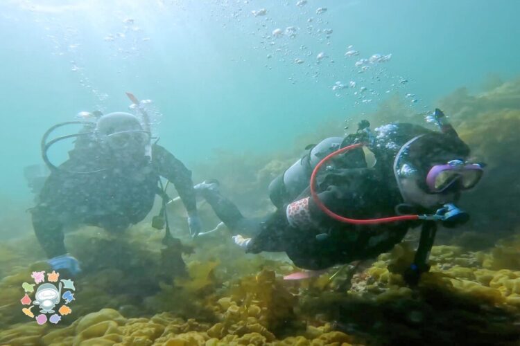 Namidea 3連休有難うございましたー!