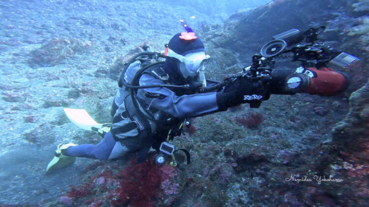 伊豆大島ツアー