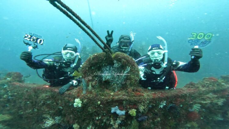 熱海 メモリアルダイブ