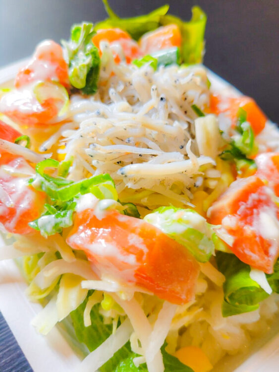 平日葉山ボート開催❗️🌸