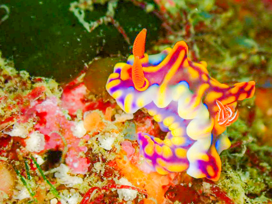 平日葉山ボート開催❗️🌸