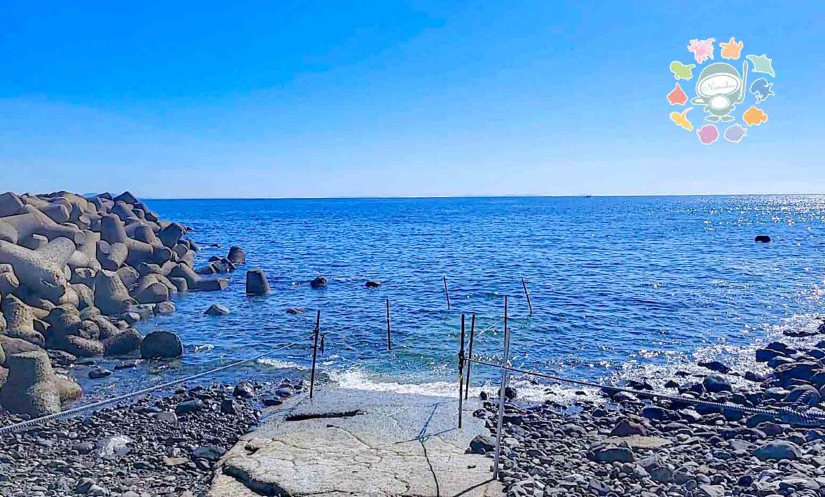 Namidea 江之浦のんびりツアー開催！