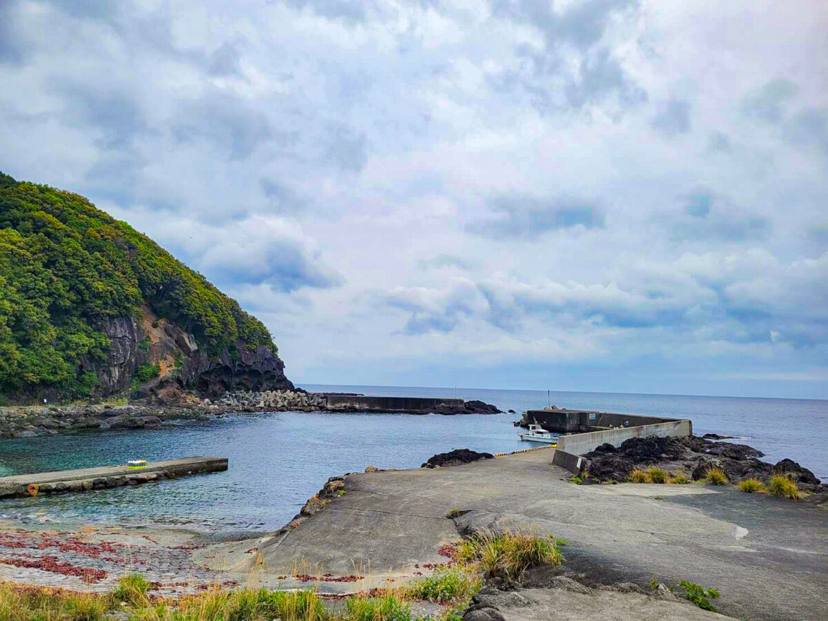 Namidea 今日は菖蒲沢へ！