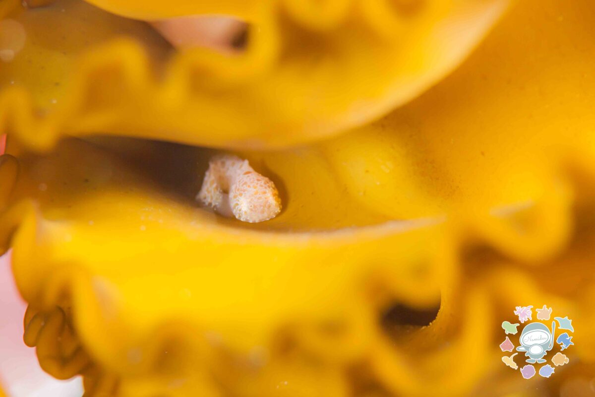 Namidea 本日も快晴なり🌸