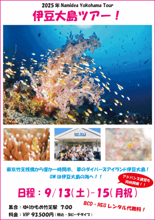 Namidea 2025年秋！黒潮近づく伊豆大島ツアー！