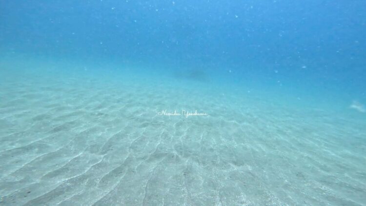 熱海・小曽我洞窟