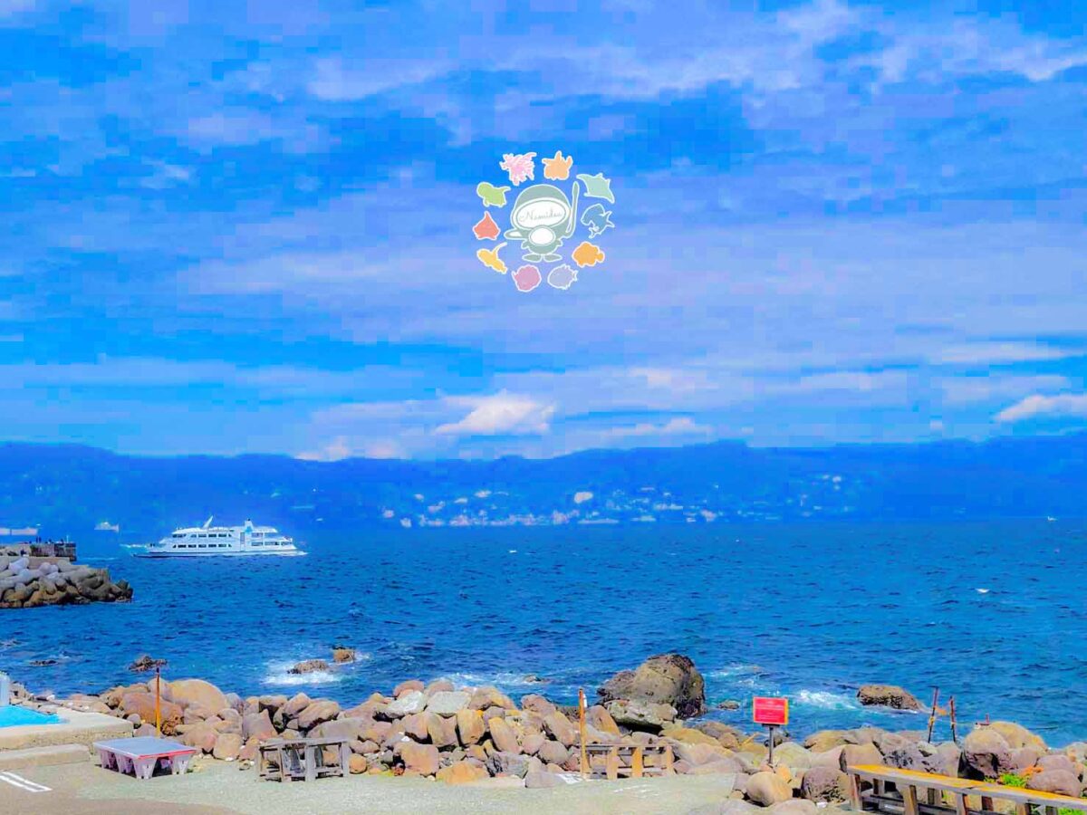 Namidea 初島ツアー開催！