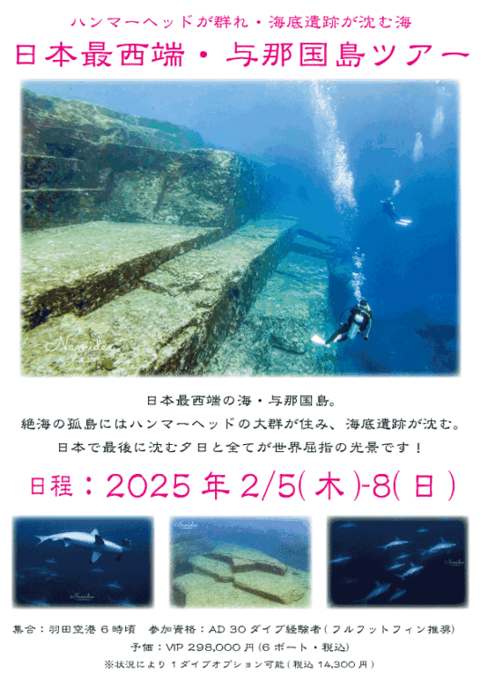 Namidea 2026与那国島ツアー！