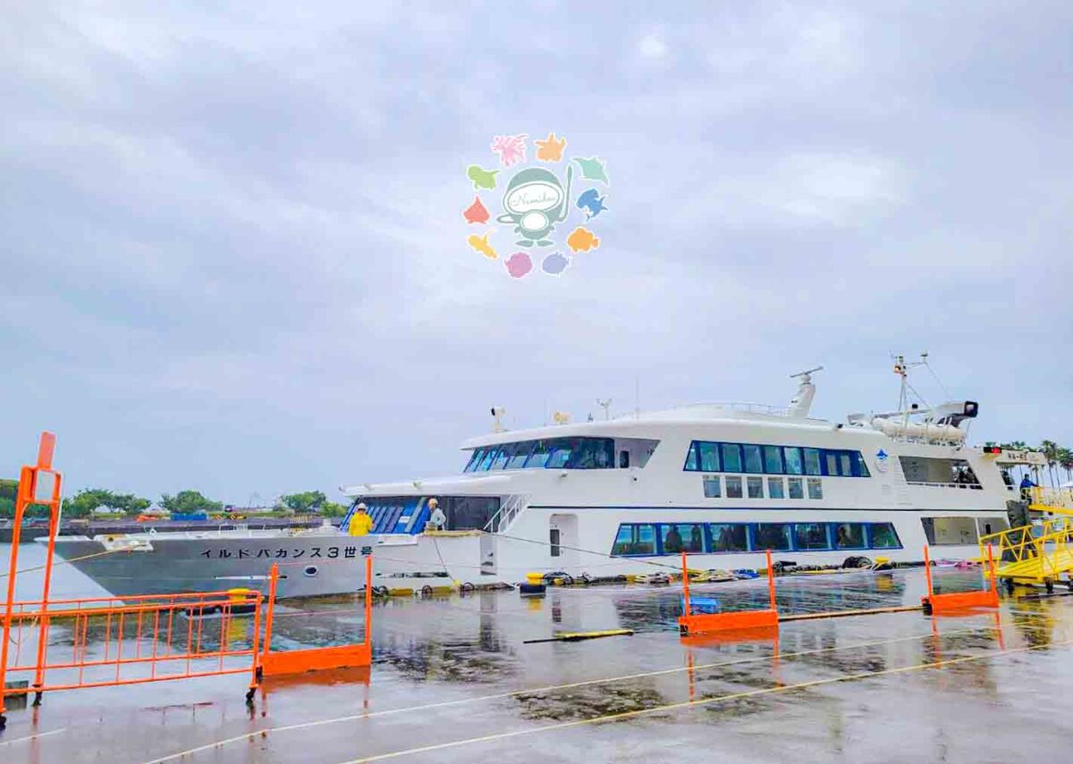 Namidea 2025 GW最終日！