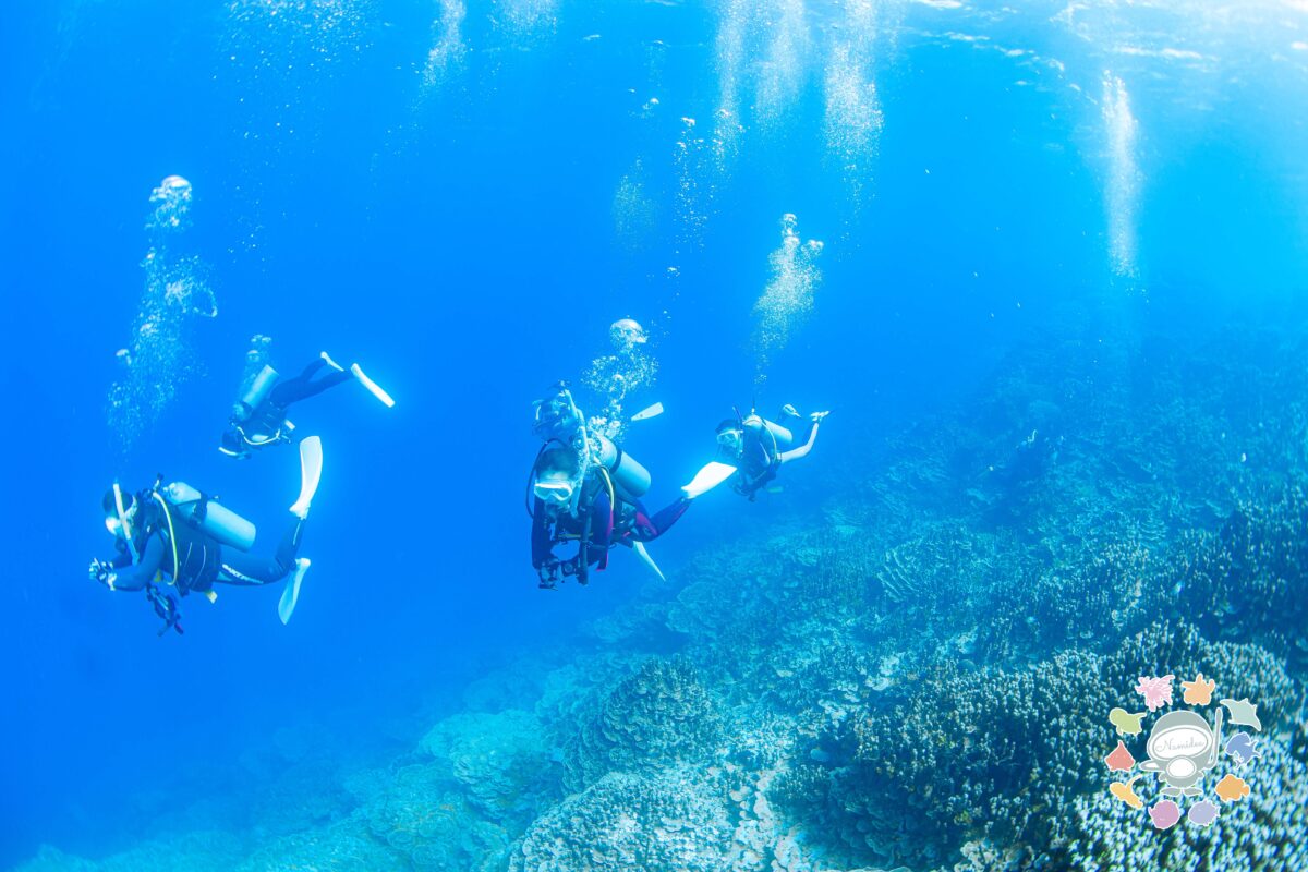 Namidea 週末のスタート！