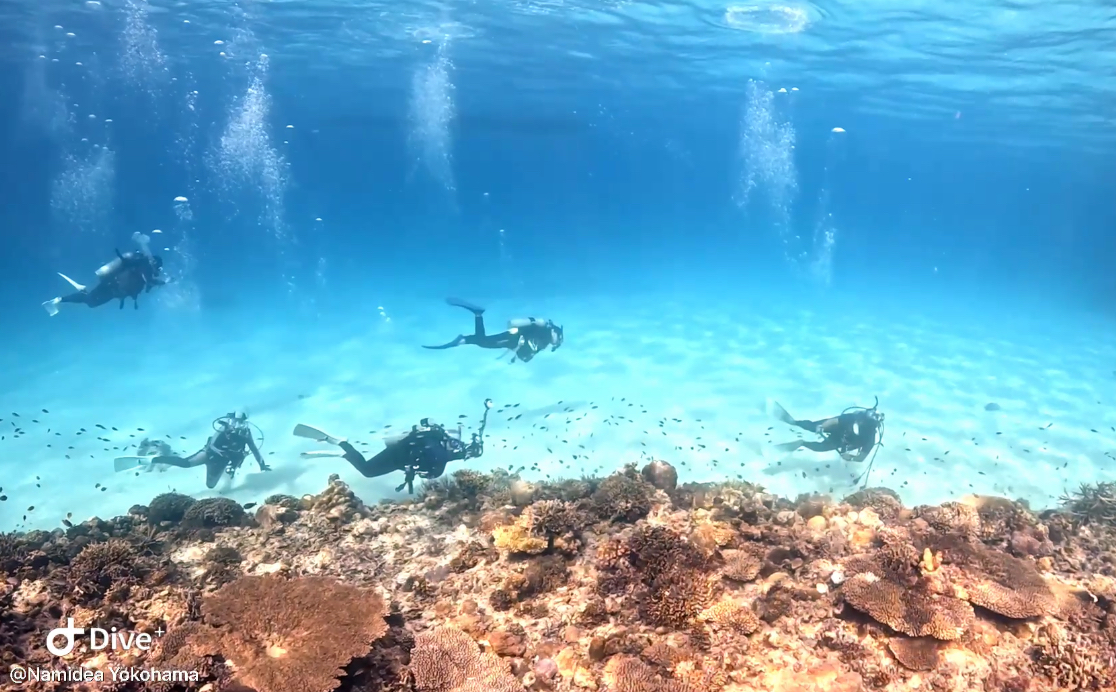 Namidea あっという間の華金🌸