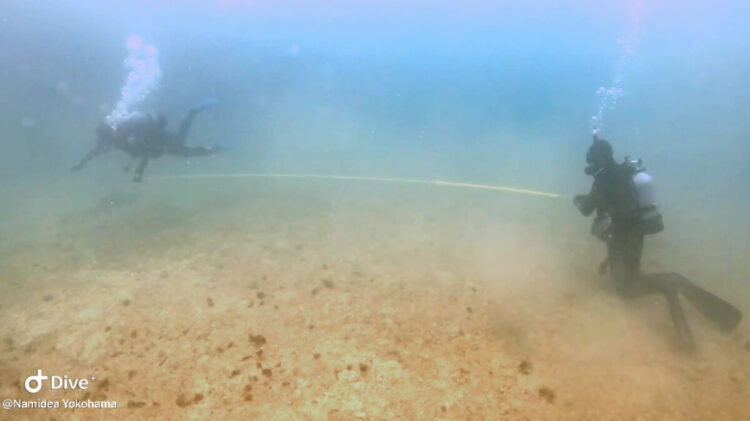 Namidea レスキュー講習開催！