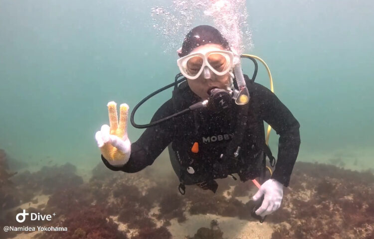 Namidea アップデート&ツアー開催!