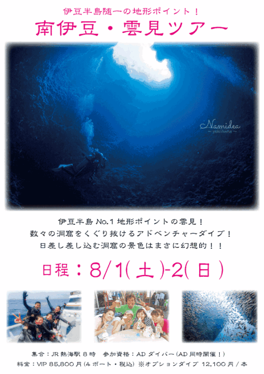 Namidea 2026年真夏の洞窟探検！南伊豆・雲見ボートツアー！