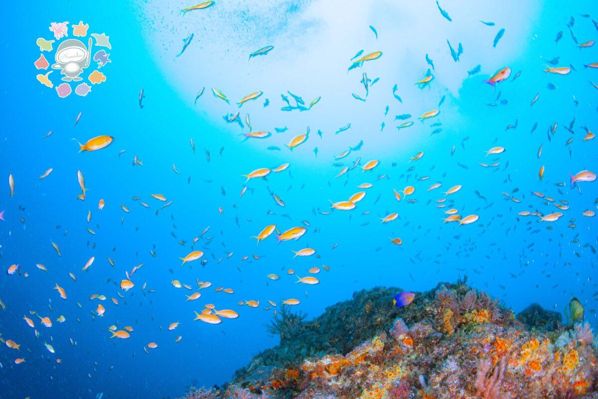 Namidea 台風が気になる火曜日！